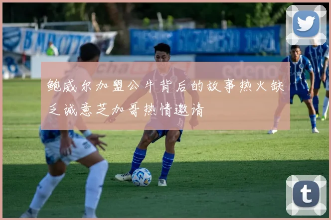 鲍威尔加盟公牛背后的故事热火缺乏诚意芝加哥热情邀请